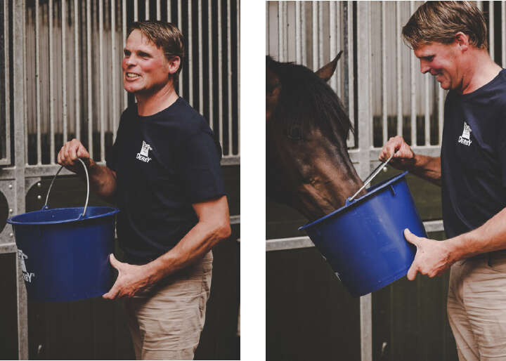 seo proben futter frank ostholt